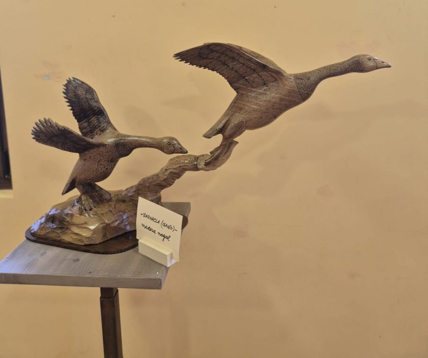 Francisco González, Hacinas, esculturas en madera, arte figurativo, animales tallados, Villadiego, exposición de arte, arte en movimiento, caballos tallados, aves en madera, peces tallados, escultor burgalés, muestra de arte, talla en madera, arte contemporáneo Burgos, vida en madera, arte realista animales.