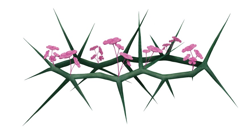 “La XXVIII edición de Las Edades del Hombre – EsperanZa llega a Zamora entre octubre de 2025 y abril de 2026 bajo el lema ‘Esperanza’: exposición de arte sacro en la ciudad del románico, con la Catedral y San Cipriano como sedes principales, impulsando turismo, patrimonio y empleo.”