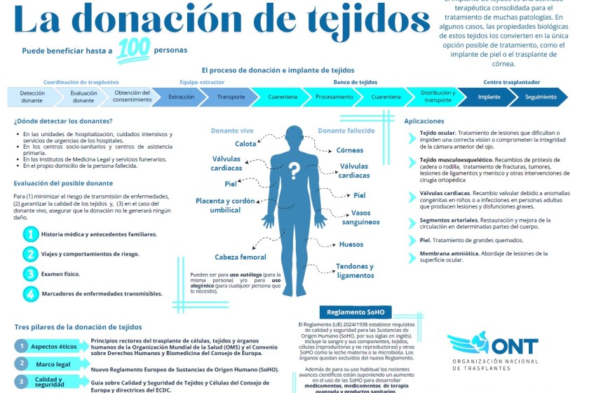 donación de tejidos, trasplantes España, ONT 2024, Castilla y León donación, sanidad Castilla y León, tejido ocular, tejido osteotendinoso, Ministerio de Sanidad, tasa por millón de población, donantes fallecidos, ONT memoria 2024, donación en vida