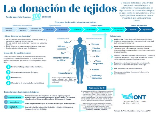 donación de tejidos, trasplantes España, ONT 2024, Castilla y León donación, sanidad Castilla y León, tejido ocular, tejido osteotendinoso, Ministerio de Sanidad, tasa por millón de población, donantes fallecidos, ONT memoria 2024, donación en vida