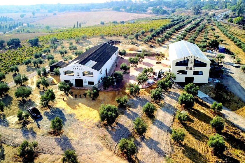 Cuaresma en el Condado de Huelva: descubre la Ruta del Vino entre patrimonio, gastronomía y tradición en uno de los destinos enoturísticos más singulares de España.
