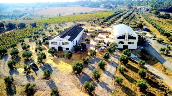 Cuaresma en el Condado de Huelva: descubre la Ruta del Vino entre patrimonio, gastronomía y tradición en uno de los destinos enoturísticos más singulares de España.