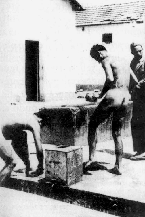 La Ruta de la Memoria en Miranda alcanza 485 visitantes en 2026 y refuerza su papel educativo y cultural.