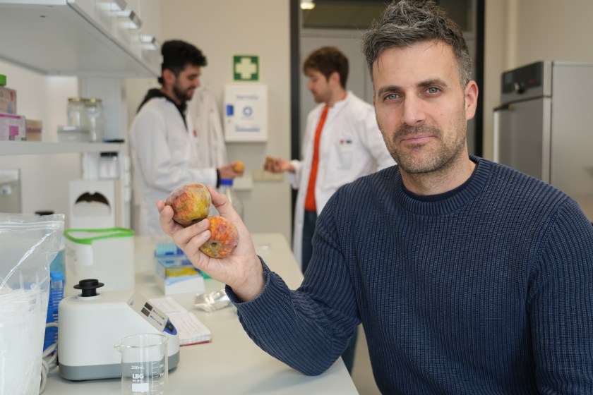 nvestigadores de la UVa demuestran que la manzana puede regular la glucosa y estimular la saciedad mediante compuestos naturales.