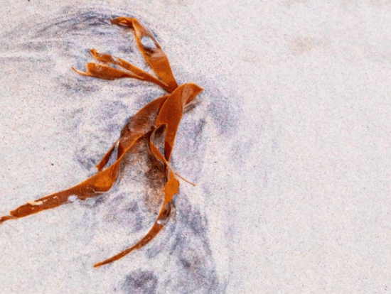 Exposición de fotografía abstracta en Palencia