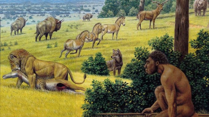 El Museo de la Evolución Humana exhibe la obra de Mauricio Antón sobre evolución humana hasta agosto.