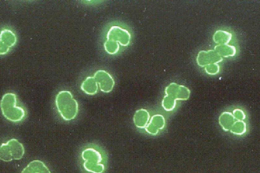 Análisis del sistema agroalimentario: sostenibilidad, innovación y seguridad alimentaria marcan el futuro del sector.