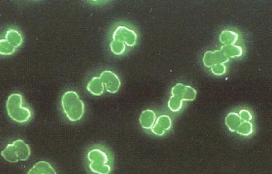 Análisis del sistema agroalimentario: sostenibilidad, innovación y seguridad alimentaria marcan el futuro del sector.