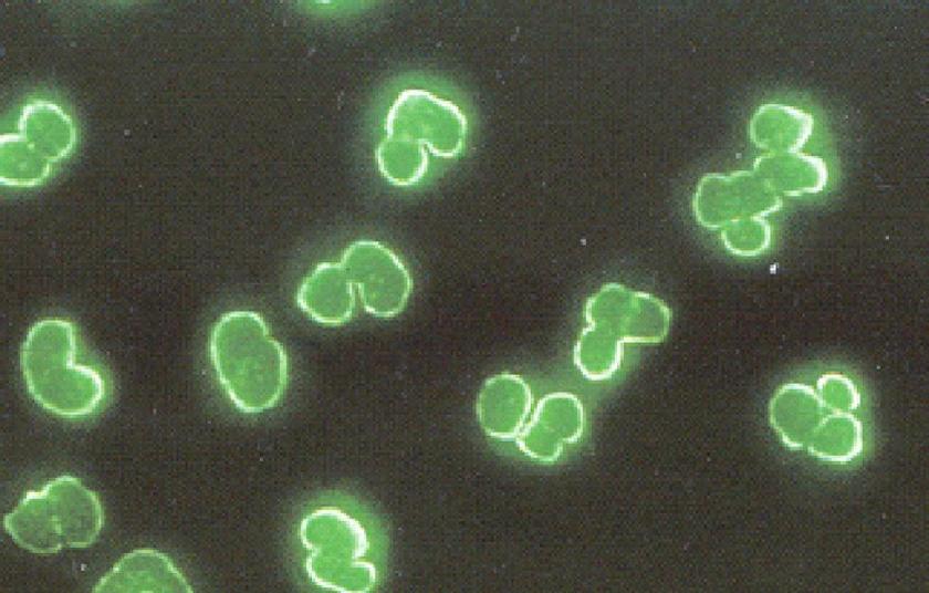 Análisis del sistema agroalimentario: sostenibilidad, innovación y seguridad alimentaria marcan el futuro del sector.