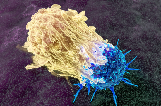 El BOE publica la orden del Ministerio de Sanidad que amplía el cribado neonatal a 21 patologías, extiende la detección de cáncer colorrectal a los 74 años e incorpora el cribado de preeclampsia en el embarazo.