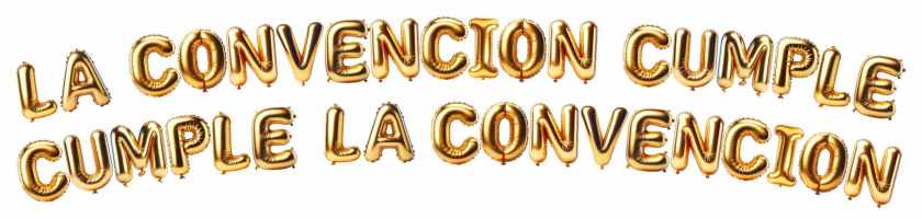 COCEMFE reclama reforzar el cumplimiento de la Convención en su 20 aniversario.