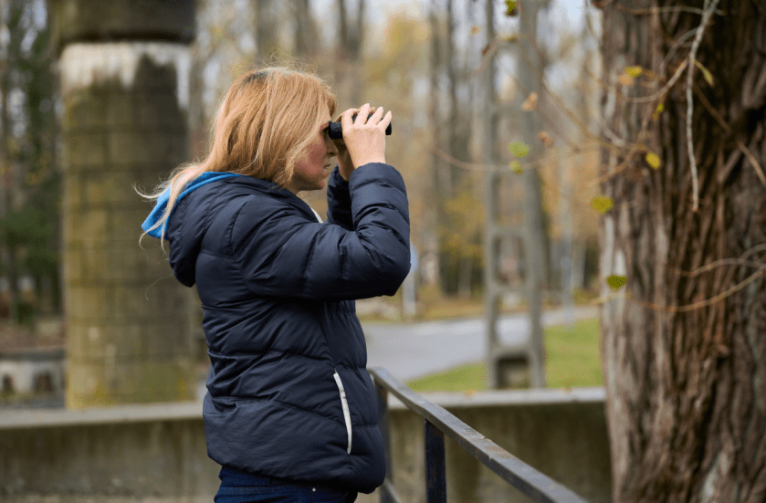 curso aves Ávila, observación aves Ávila, ornitología Castilla y León, Diputación de Ávila curso, biodiversidad aves España
