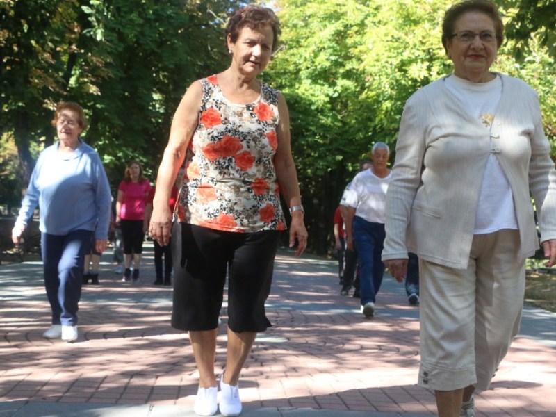 Ávila amplía a más de 40 actividades su programa contra la soledad
