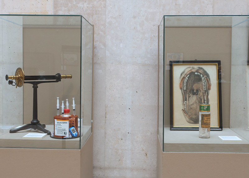 El MUVa inaugura el tercer acto de «Cabeza: Sentidos y Sentimientos», que reúne arte de pacientes y piezas del Museo Anatómico.